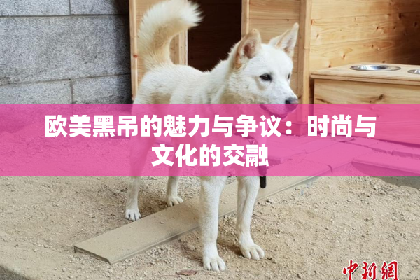 欧美黑吊的魅力与争议：时尚与文化的交融