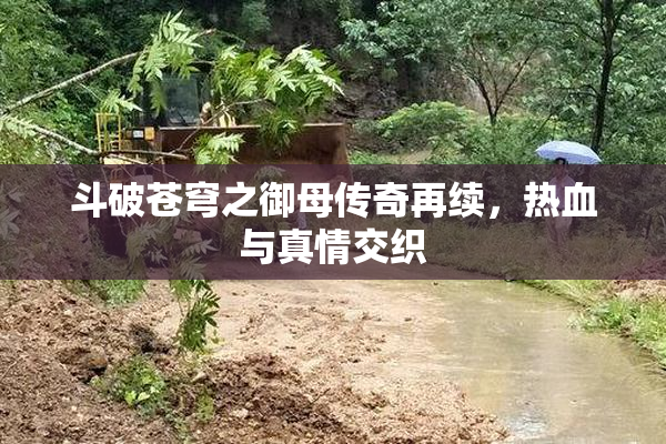 斗破苍穹之御母传奇再续，热血与真情交织