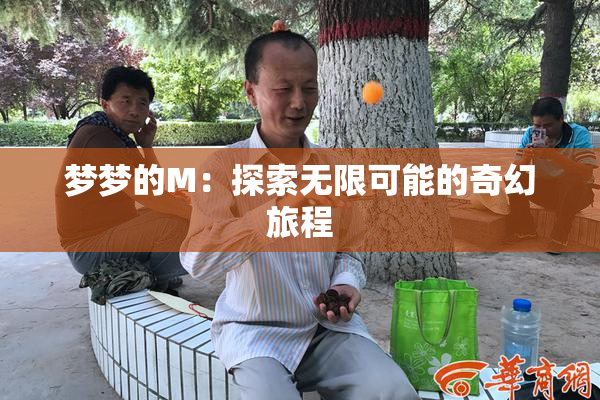 梦梦的M：探索无限可能的奇幻旅程