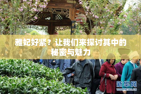 雅妃好紧？让我们来探讨其中的秘密与魅力