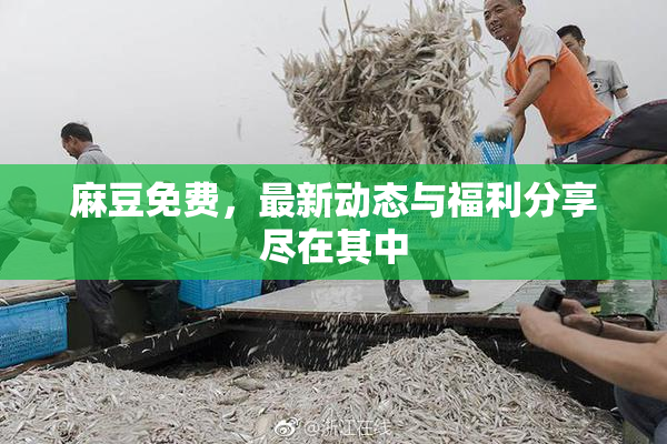 麻豆免费，最新动态与福利分享尽在其中