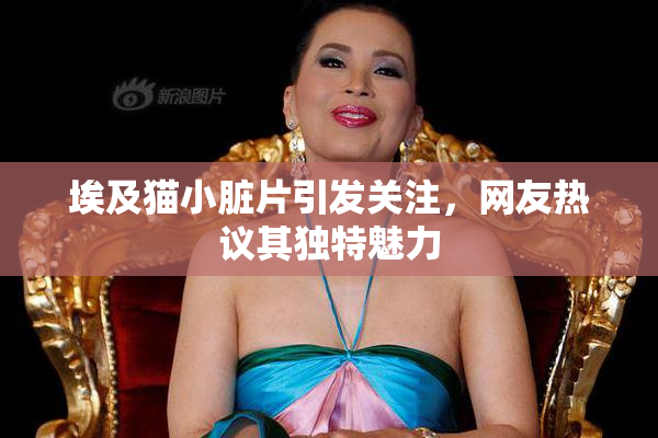 埃及猫小脏片引发关注，网友热议其独特魅力