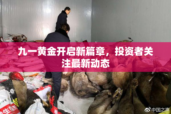 九一黄金开启新篇章，投资者关注最新动态