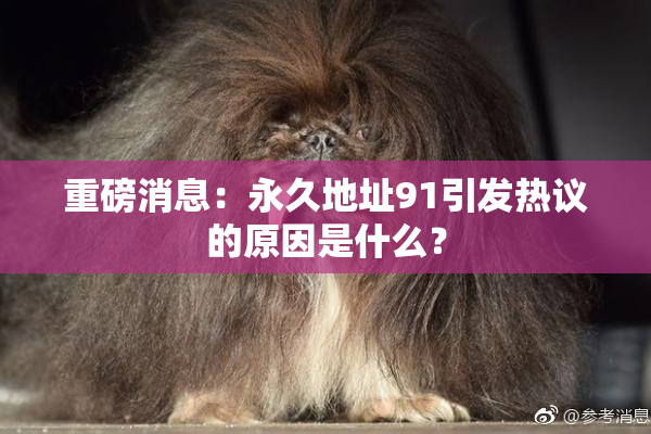 重磅消息：永久地址91引发热议的原因是什么？