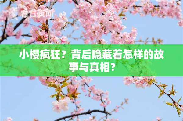 小樱疯狂？背后隐藏着怎样的故事与真相？