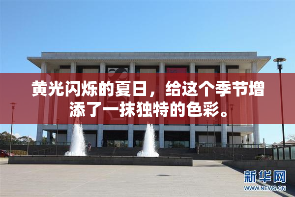黄光闪烁的夏日，给这个季节增添了一抹独特的色彩。