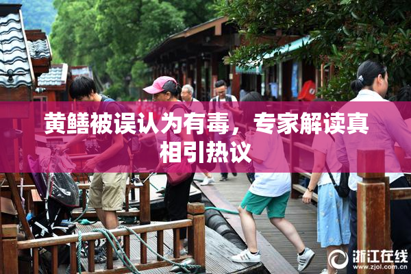 黄鳝被误认为有毒，专家解读真相引热议