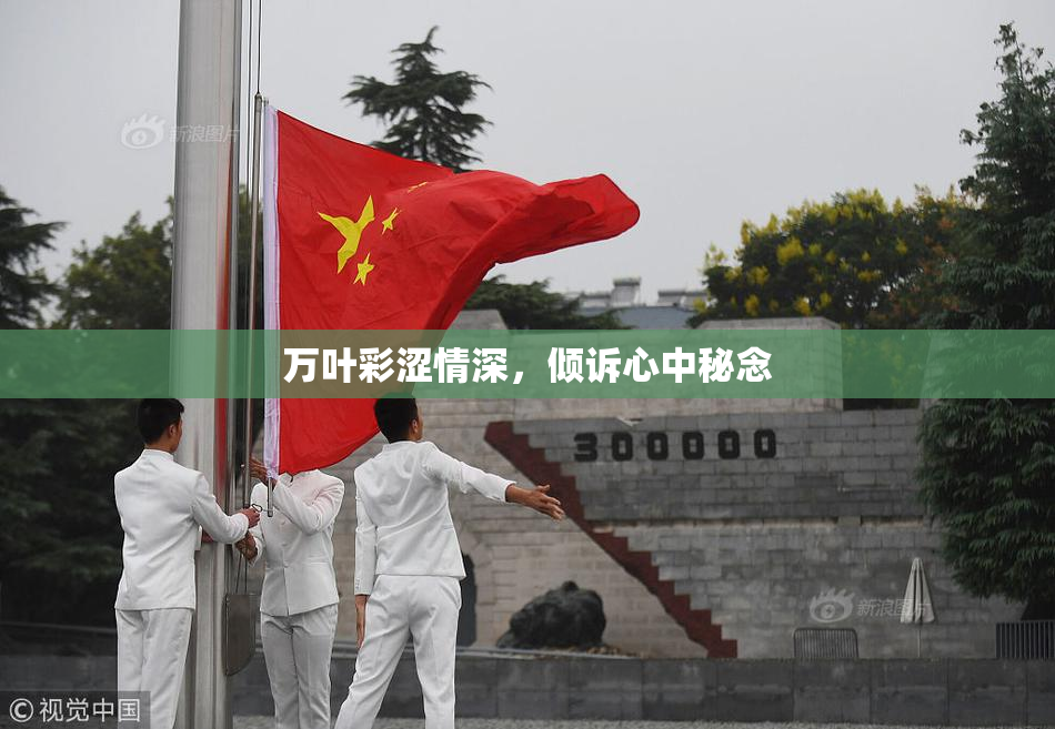 万叶彩涩情深，倾诉心中秘念