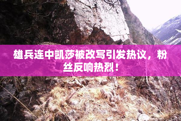 雄兵连中凯莎被改写引发热议，粉丝反响热烈！
