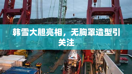 韩雪大胆亮相，无胸罩造型引关注