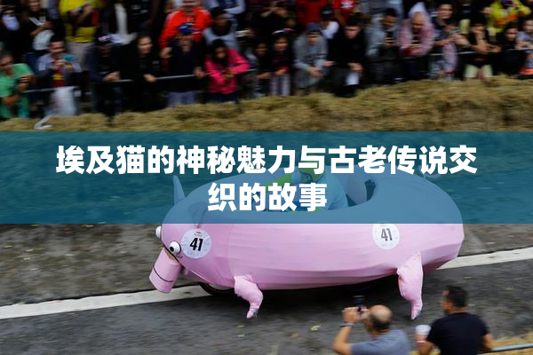 埃及猫的神秘魅力与古老传说交织的故事