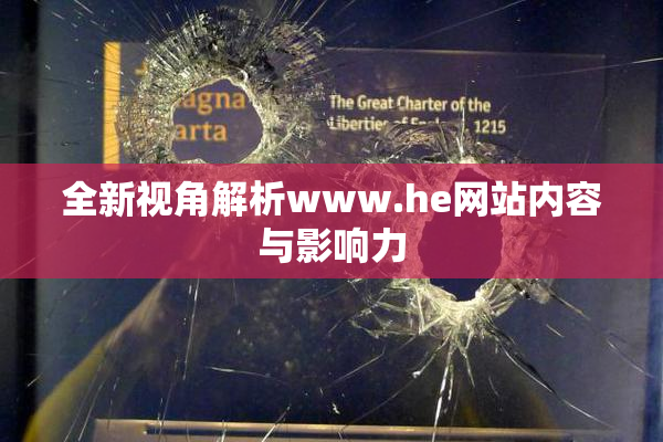 全新视角解析www.he网站内容与影响力