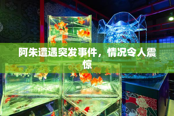 阿朱遭遇突发事件，情况令人震惊