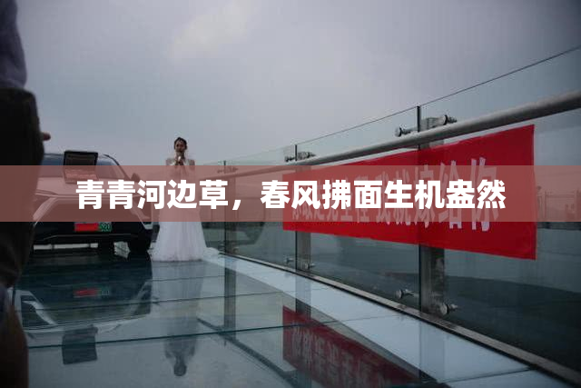 青青河边草，春风拂面生机盎然