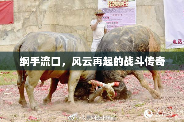 纲手流口，风云再起的战斗传奇