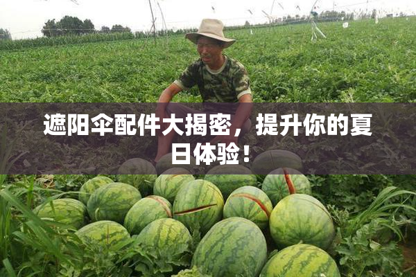 遮阳伞配件大揭密，提升你的夏日体验！