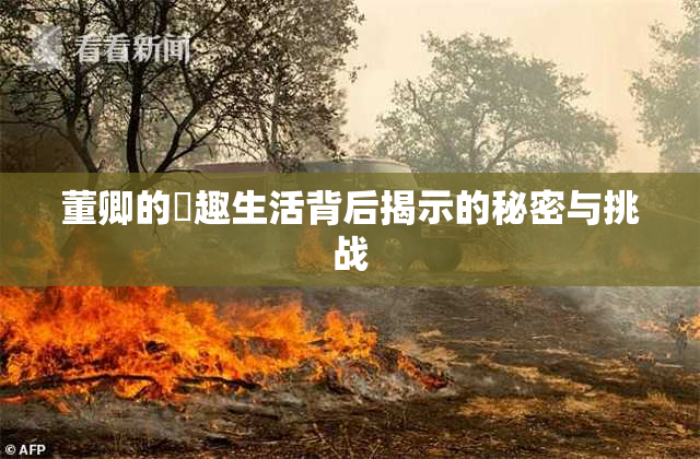 董卿的婬趣生活背后揭示的秘密与挑战