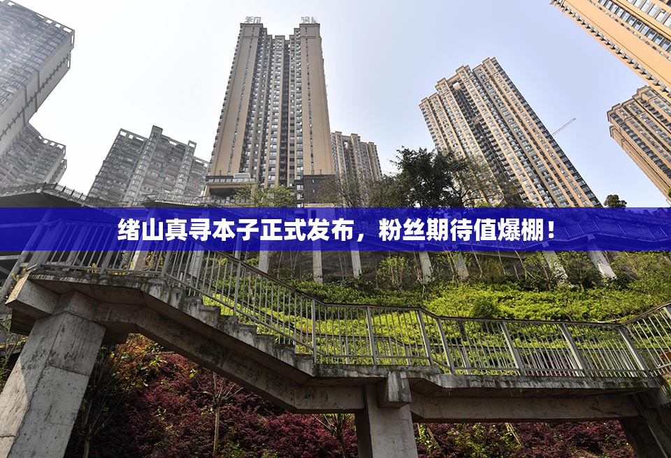 绪山真寻本子正式发布，粉丝期待值爆棚！