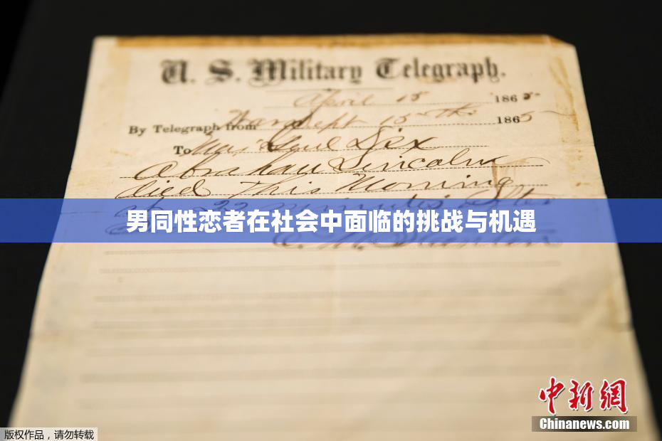 男同性恋者在社会中面临的挑战与机遇