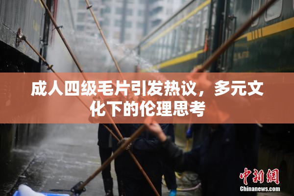 成人四级毛片引发热议，多元文化下的伦理思考