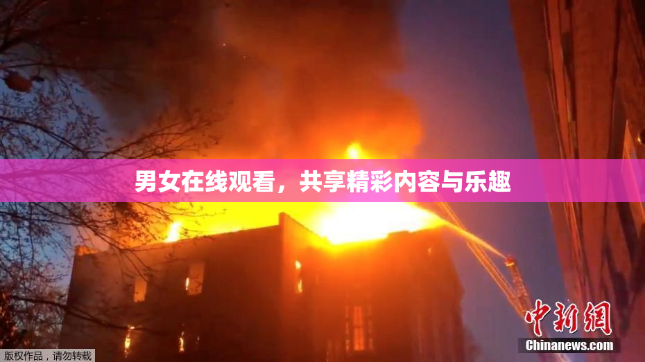 男女在线观看，共享精彩内容与乐趣