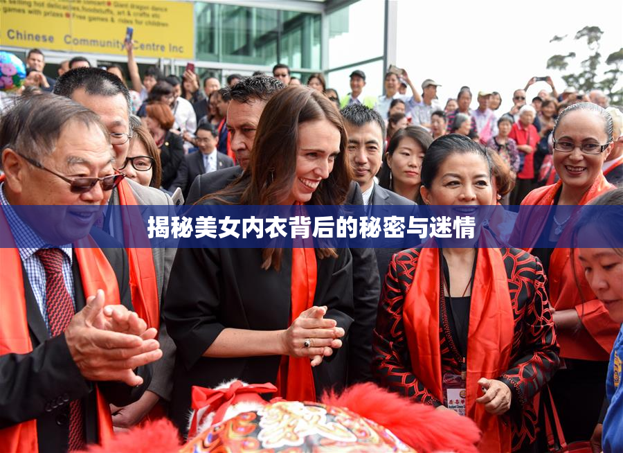 揭秘美女内衣背后的秘密与迷情