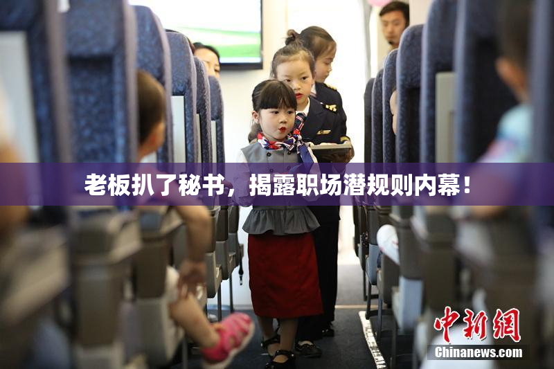 老板扒了秘书，揭露职场潜规则内幕！