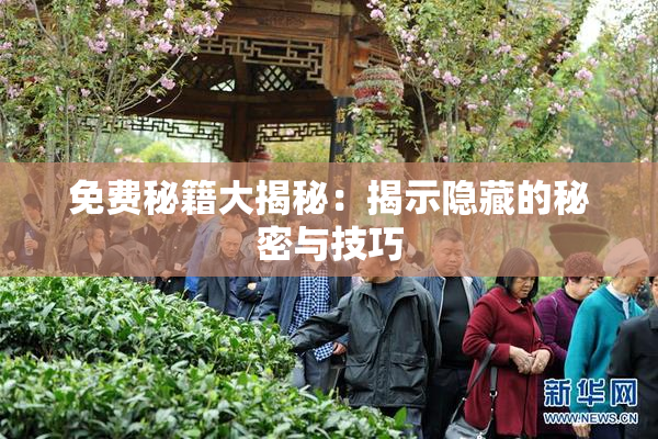 免费秘籍大揭秘：揭示隐藏的秘密与技巧