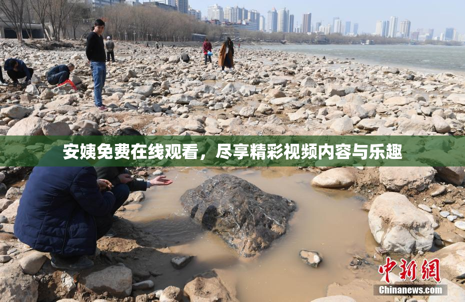 安姨免费在线观看，尽享精彩视频内容与乐趣