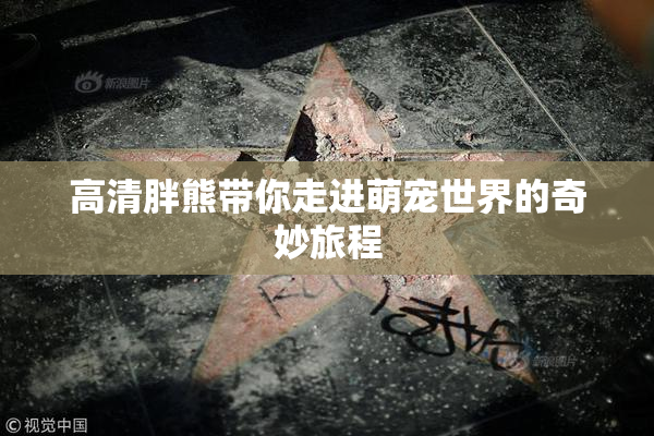 高清胖熊带你走进萌宠世界的奇妙旅程