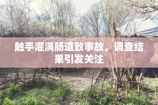 触手灌满肠道致事故，调查结果引发关注