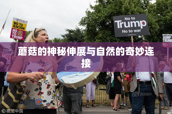 蘑菇的神秘伸展与自然的奇妙连接