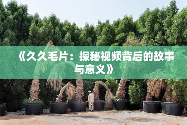 《久久毛片：探秘视频背后的故事与意义》
