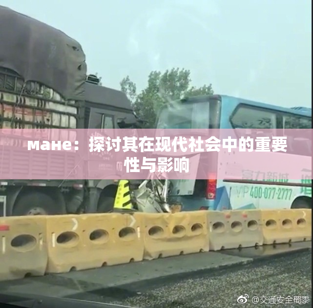 мане：探讨其在现代社会中的重要性与影响