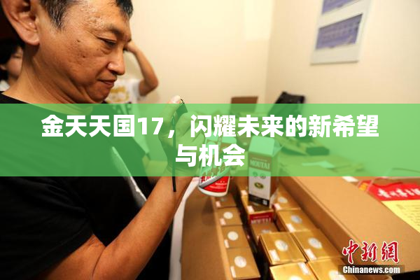 金天天国17，闪耀未来的新希望与机会