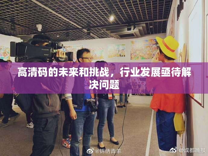 高清码的未来和挑战，行业发展亟待解决问题