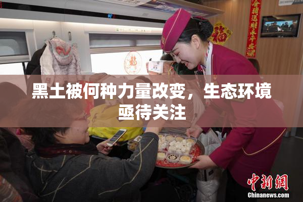 黑土被何种力量改变，生态环境亟待关注