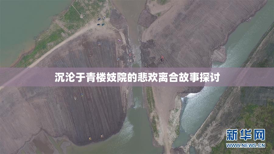 沉沦于青楼妓院的悲欢离合故事探讨