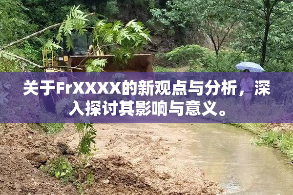 关于FrXXXX的新观点与分析，深入探讨其影响与意义。