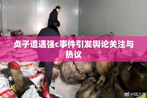 贞子遭遇强c事件引发舆论关注与热议