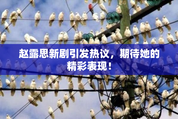 赵露思新剧引发热议，期待她的精彩表现！