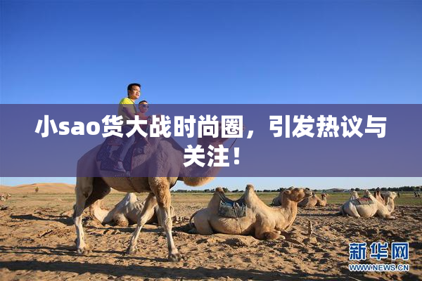 小sao货大战时尚圈，引发热议与关注！