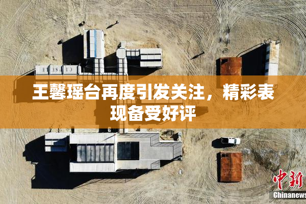王馨瑶台再度引发关注，精彩表现备受好评