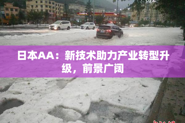 日本AA：新技术助力产业转型升级，前景广阔