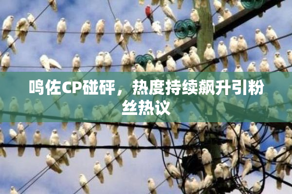 鸣佐CP碰砰，热度持续飙升引粉丝热议