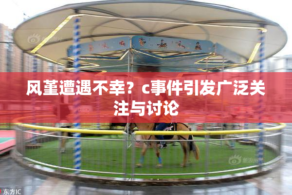 风堇遭遇不幸？c事件引发广泛关注与讨论