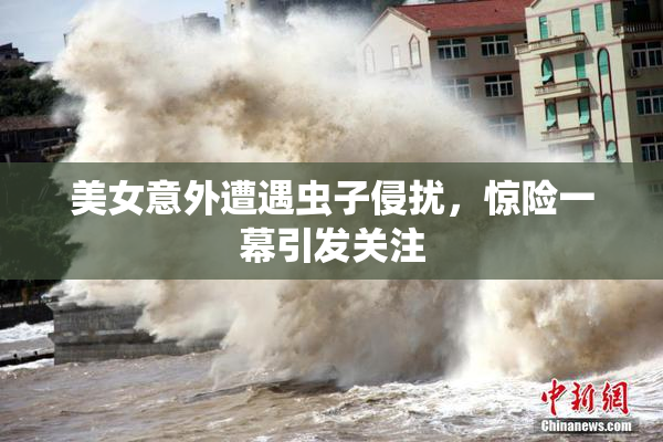 美女意外遭遇虫子侵扰，惊险一幕引发关注
