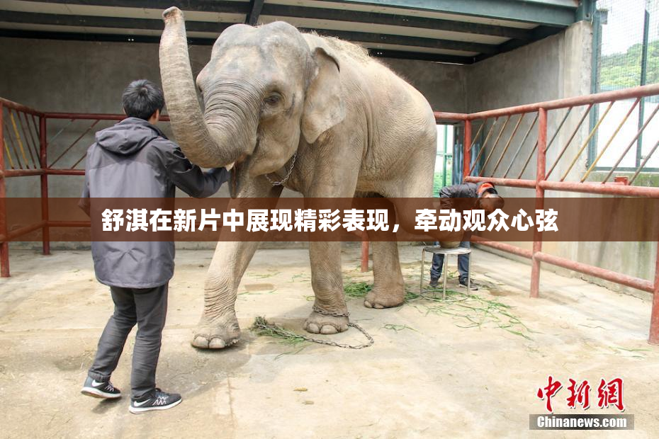 舒淇在新片中展现精彩表现，牵动观众心弦