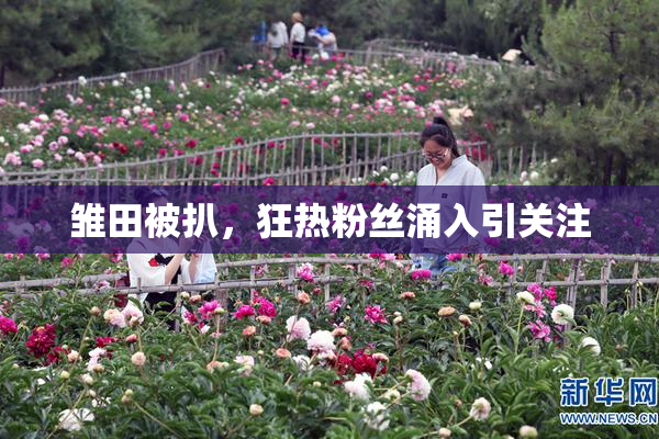 雏田被扒，狂热粉丝涌入引关注