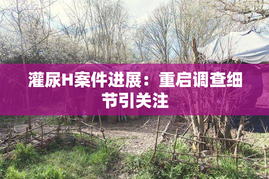 灌尿H案件进展：重启调查细节引关注